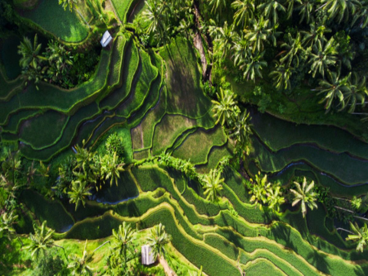 Bali Sous Un Autre Angle - 14 jours / 11 nuits - Privatif pas cher photo 3