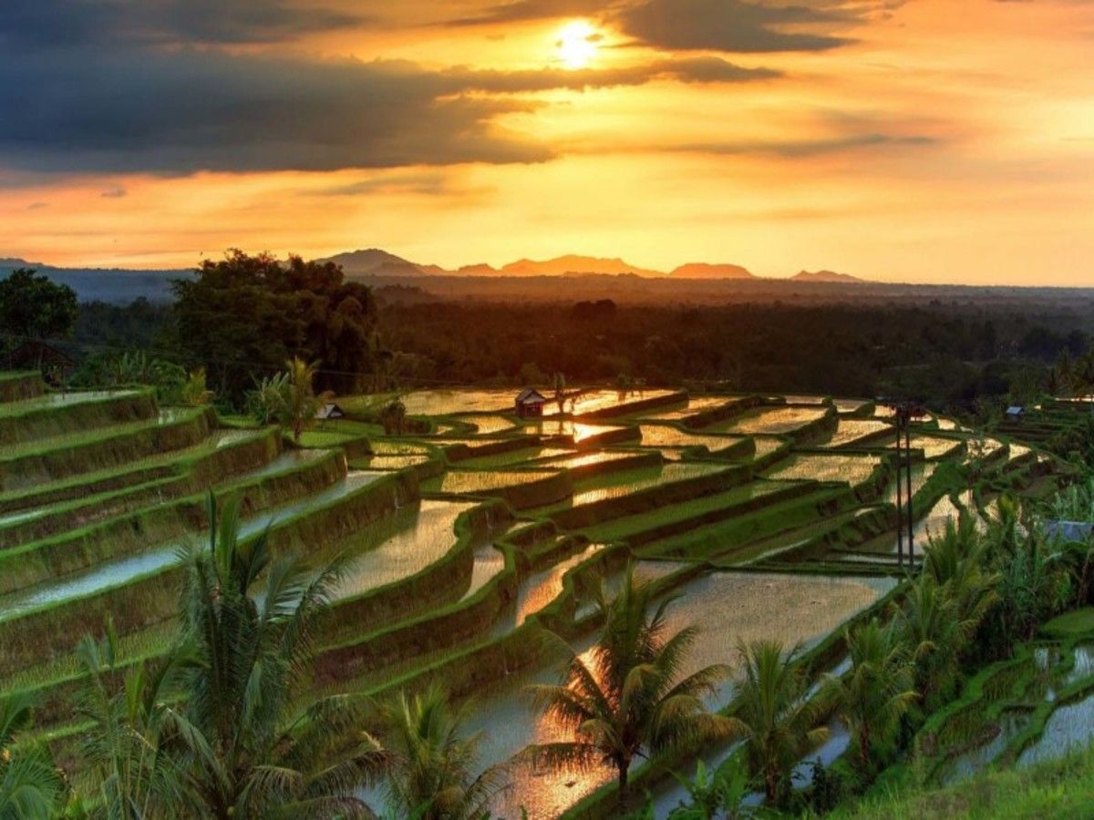 Evasion Privilège - Extension Sanur 15 jours / 12 nuits - Privatif pas cher photo 3