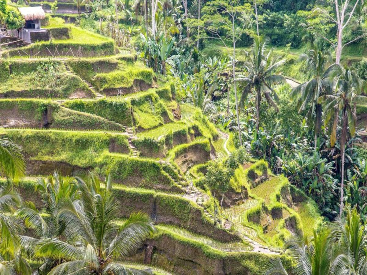 Evasion Privilège - Extension Sanur 15 jours / 12 nuits - Privatif pas cher photo 5