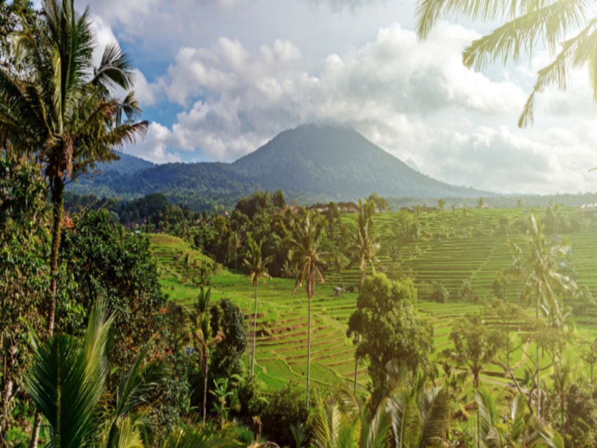 Evasion Privilège - 16 jours / 13 nuits - Extension Komodo - Privatif pas cher photo 3