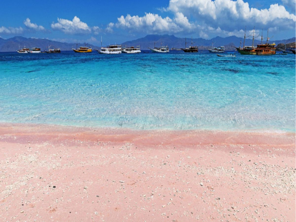 Evasion Privilège - 16 jours / 13 nuits - Extension Komodo - Privatif pas cher photo 12