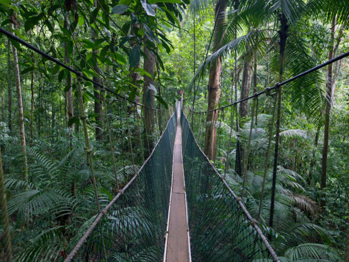 Malaisie à la folie - 10J/07N pas cher photo 4