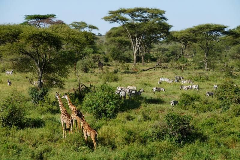 Séjour Kappa Senses Zanzibar 5* & Safari Saadani 2 nuits pas cher photo 6