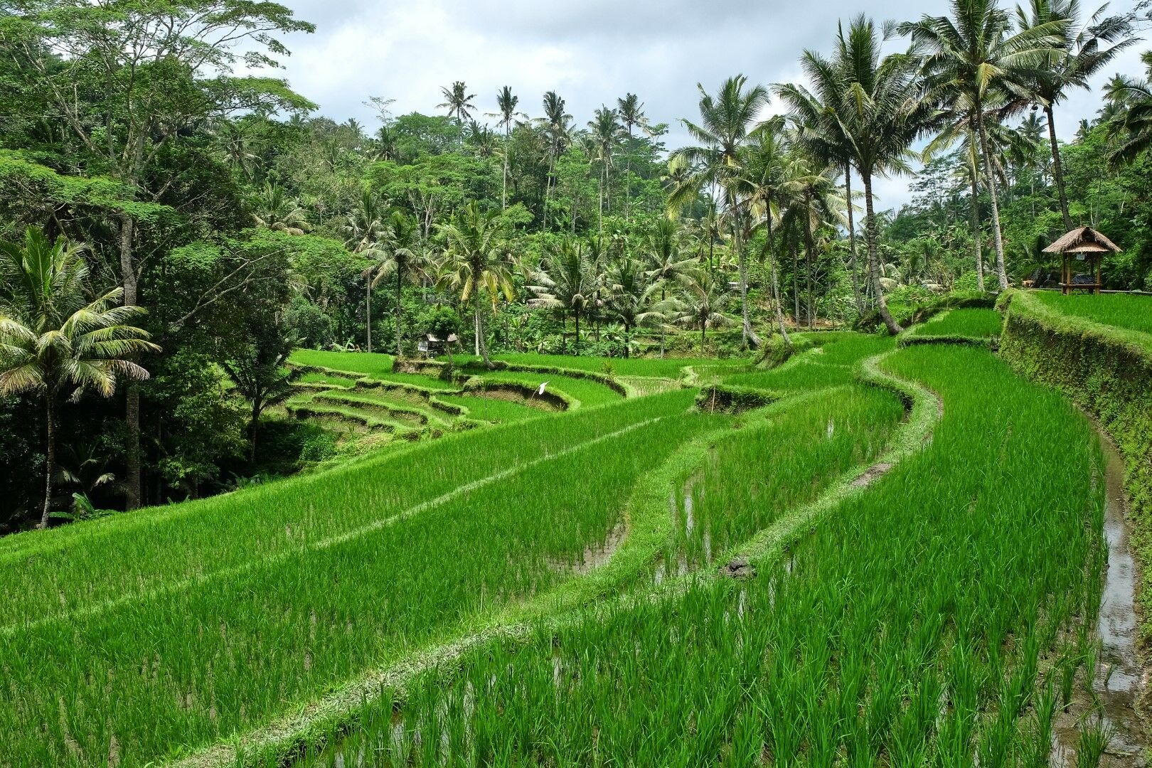 Bali en roue libre 11J/8N - En liberté pas cher photo 7