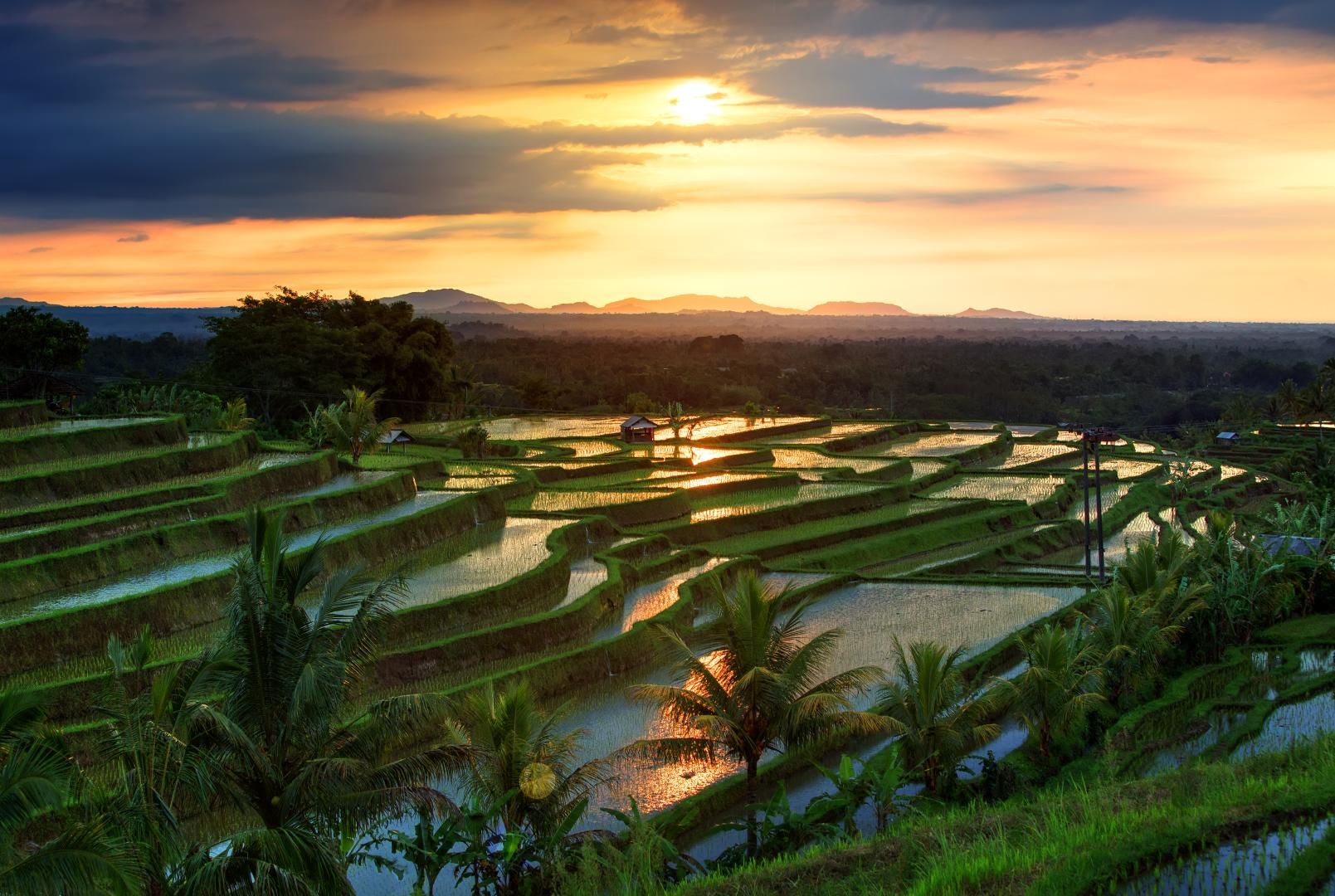 Bali Authentique - 14 jours / 11 nuits pas cher photo 3