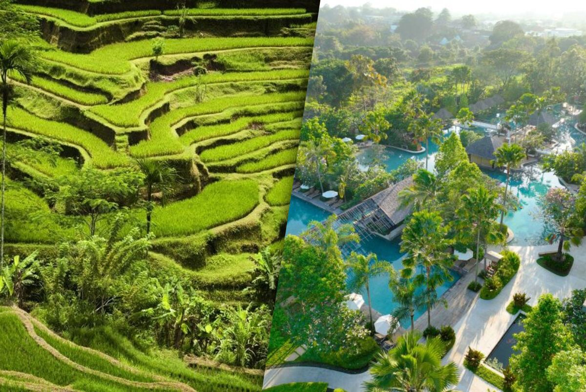 Circuit Jet tours A L'Essentiel Promenade à Bali et Extension Au Jet tours Signature Movenpick Resor pas cher photo 2