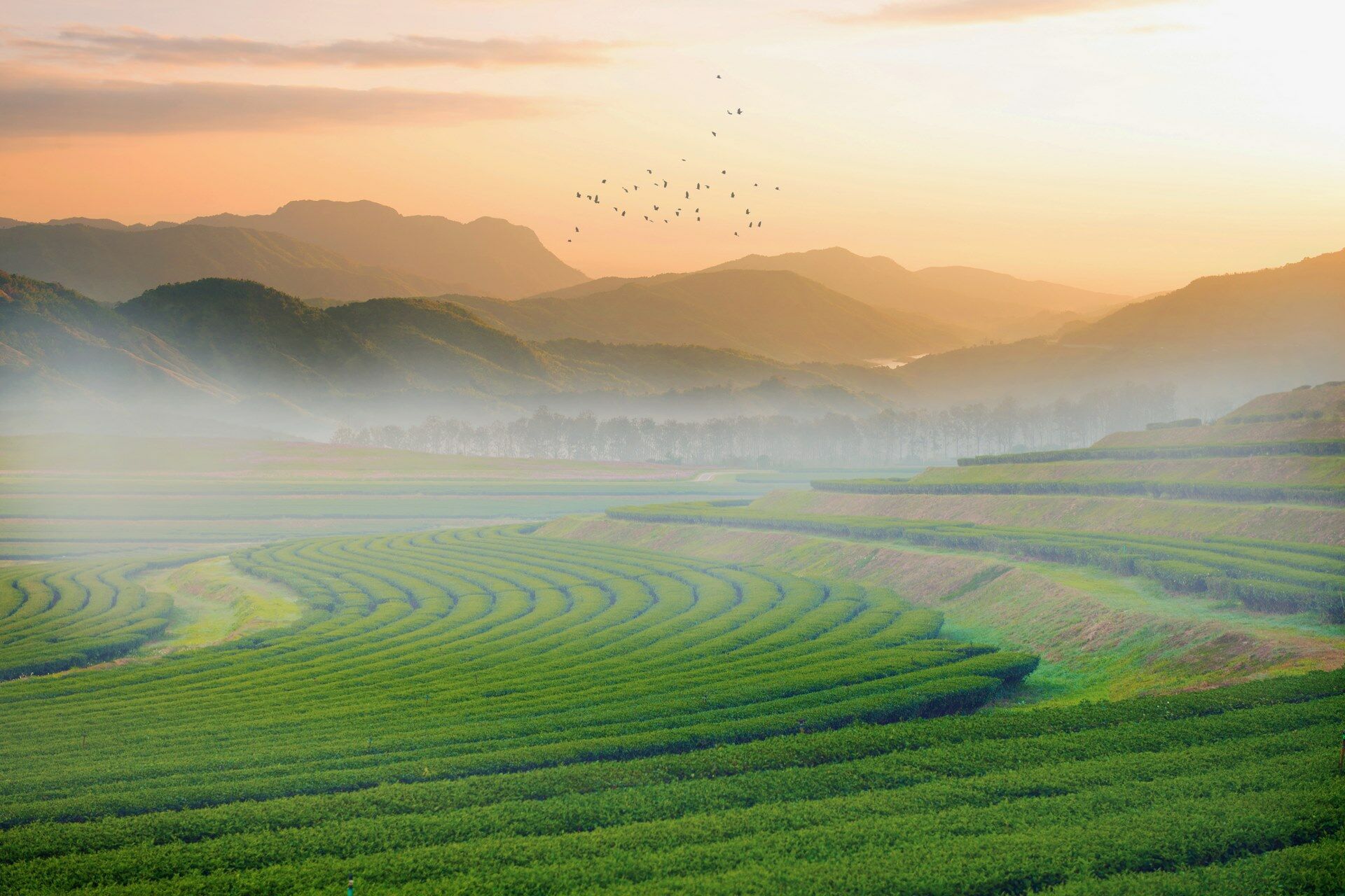 Vietnam Intimiste + Extension Cambodge - Privatif - 2027 pas cher photo 4