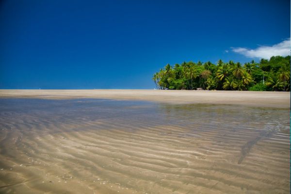 Autotour Les Secrets du Sud Costaricain + Vols Flex pas cher photo 12