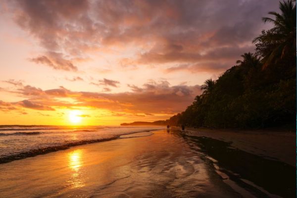 Autotour Les Secrets du Sud Costaricain + Vols Flex pas cher photo 13