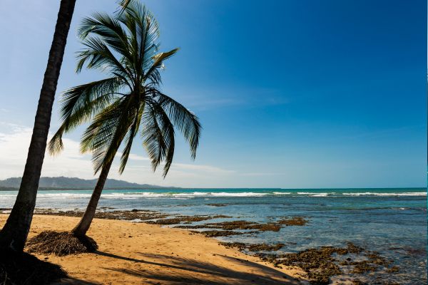 Autotour Les Secrets du Sud Costaricain + Vols Flex pas cher photo 23