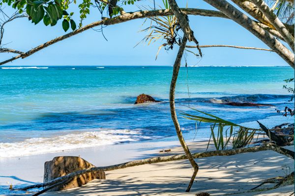 Autotour Les Secrets du Sud Costaricain + Vols Flex pas cher photo 29