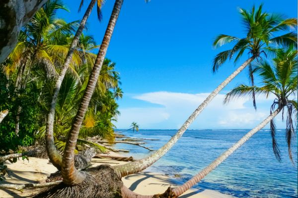 Autotour Les Secrets du Sud Costaricain + Vols Flex pas cher photo 31