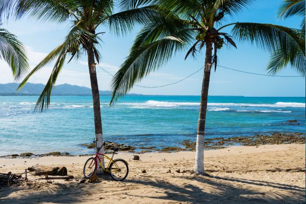 Autotour Odyssée tropicale : entre volcans, plages et forêt luxuriante + Vols Flex pas cher photo 17
