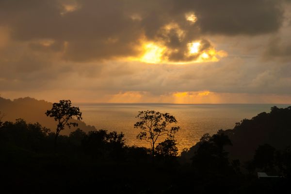 Autotour Odyssée tropicale : entre volcans, plages et forêt luxuriante + Vols Flex pas cher photo 35
