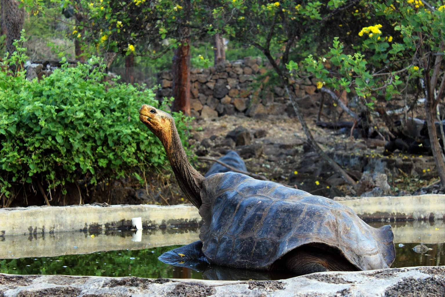 Circuit Évasion en Equateur Extension Amazonie proche et Galapagos pas cher photo 11