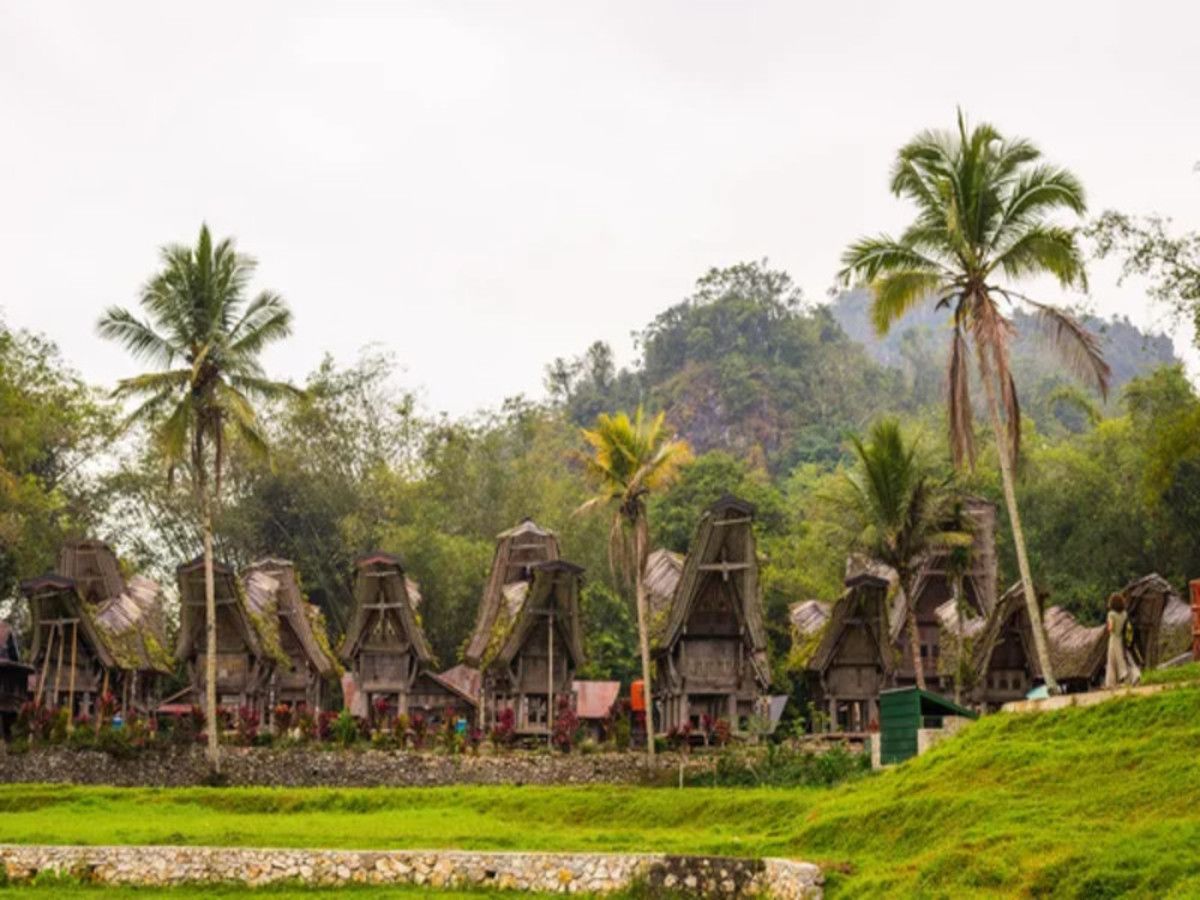 Merveille Indonésienne, Bali, Java et Célèbes 17 jours / 14 nuits pas cher photo 3