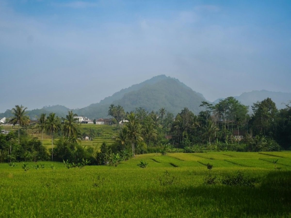 Merveille Indonésienne, Bali, Java et Célèbes 17 jours / 14 nuits pas cher photo 9