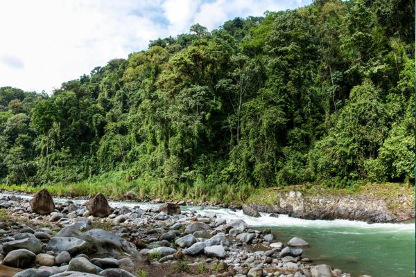 Autotour Aventure 100% Pura Vida au Costa Rica + Vols Flex pas cher photo 4