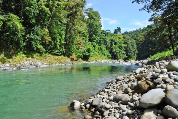 Autotour Aventure 100% Pura Vida au Costa Rica + Vols Flex pas cher photo 5