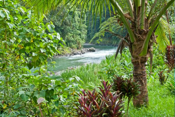 Autotour Aventure 100% Pura Vida au Costa Rica + Vols Flex pas cher photo 6
