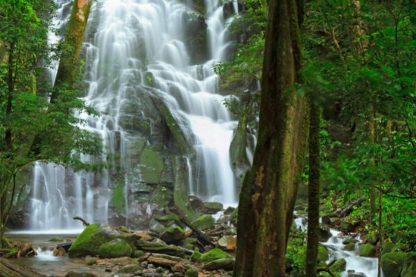 Autotour Aventure 100% Pura Vida au Costa Rica + Vols Flex pas cher photo 16