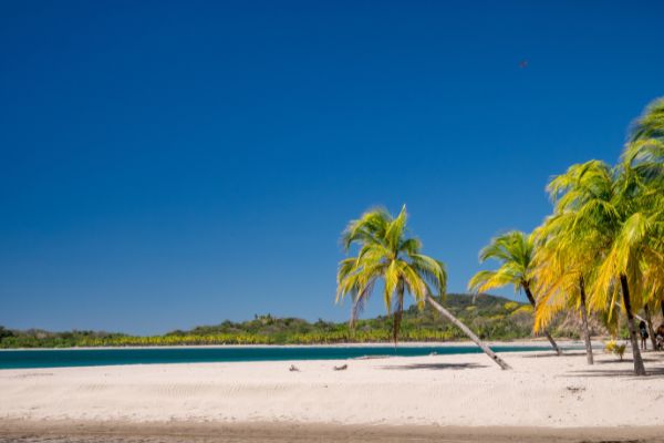 Autotour Aventure 100% Pura Vida au Costa Rica + Vols Flex pas cher photo 18