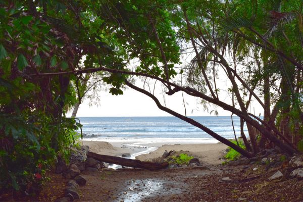 Autotour Aventure 100% Pura Vida au Costa Rica + Vols Flex pas cher photo 20