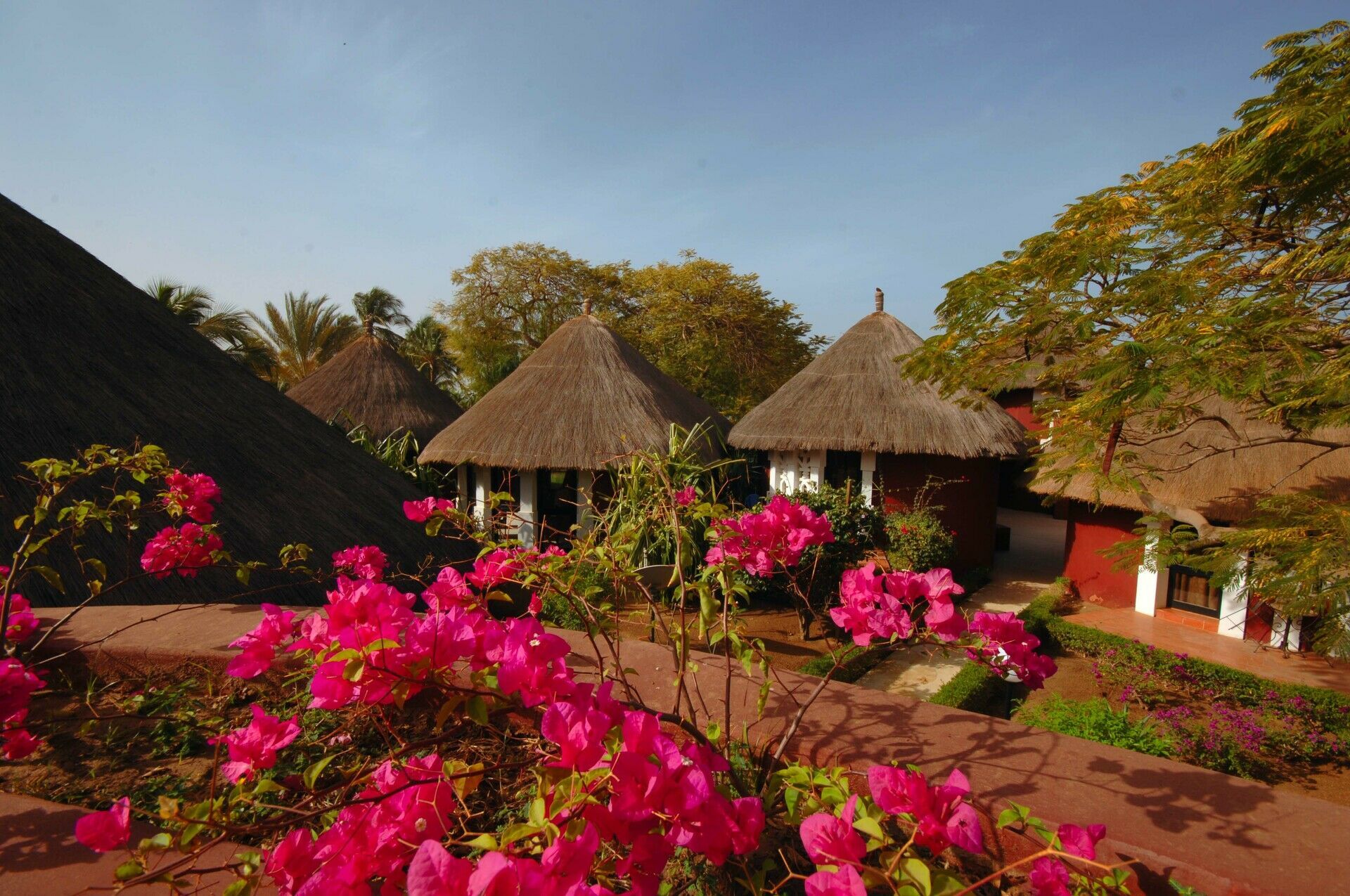 Kappa Circuit aux Couleurs du Sénégal et extension au Royam Hôtel 4* pas cher photo 13