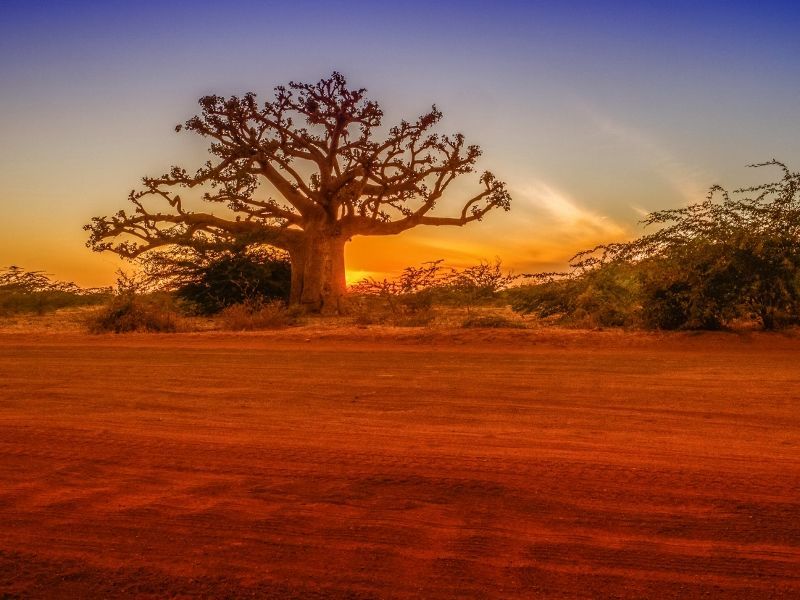 Kappa Découverte aux Couleurs du Sénégal et extension au Royam Hôtel 4* pas cher photo 8