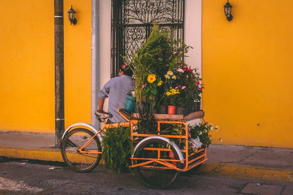 Circuit Odyssée Mexicaine : De Mexico au Yucatan + Vols Flex pas cher photo 59