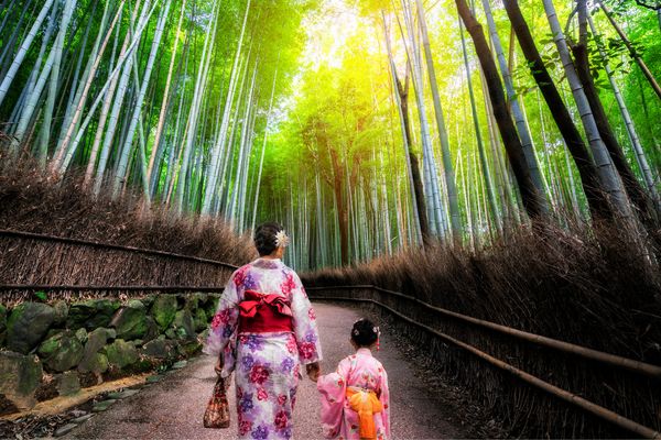 Circuit Mangas et K-Pop, du Japon à la Corée en Famille - Vols Flex pas cher photo 30