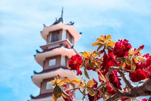 Circuit Vietnam en Liberté et Privatif - Vols Flex pas cher photo 12