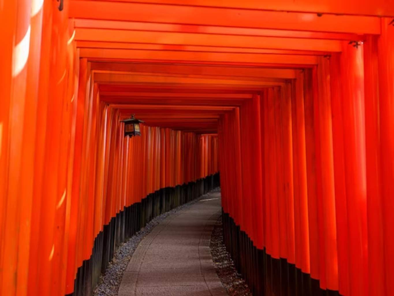 Mon Circuit Liberté à la Découverte du Japon Authentique pas cher photo 4