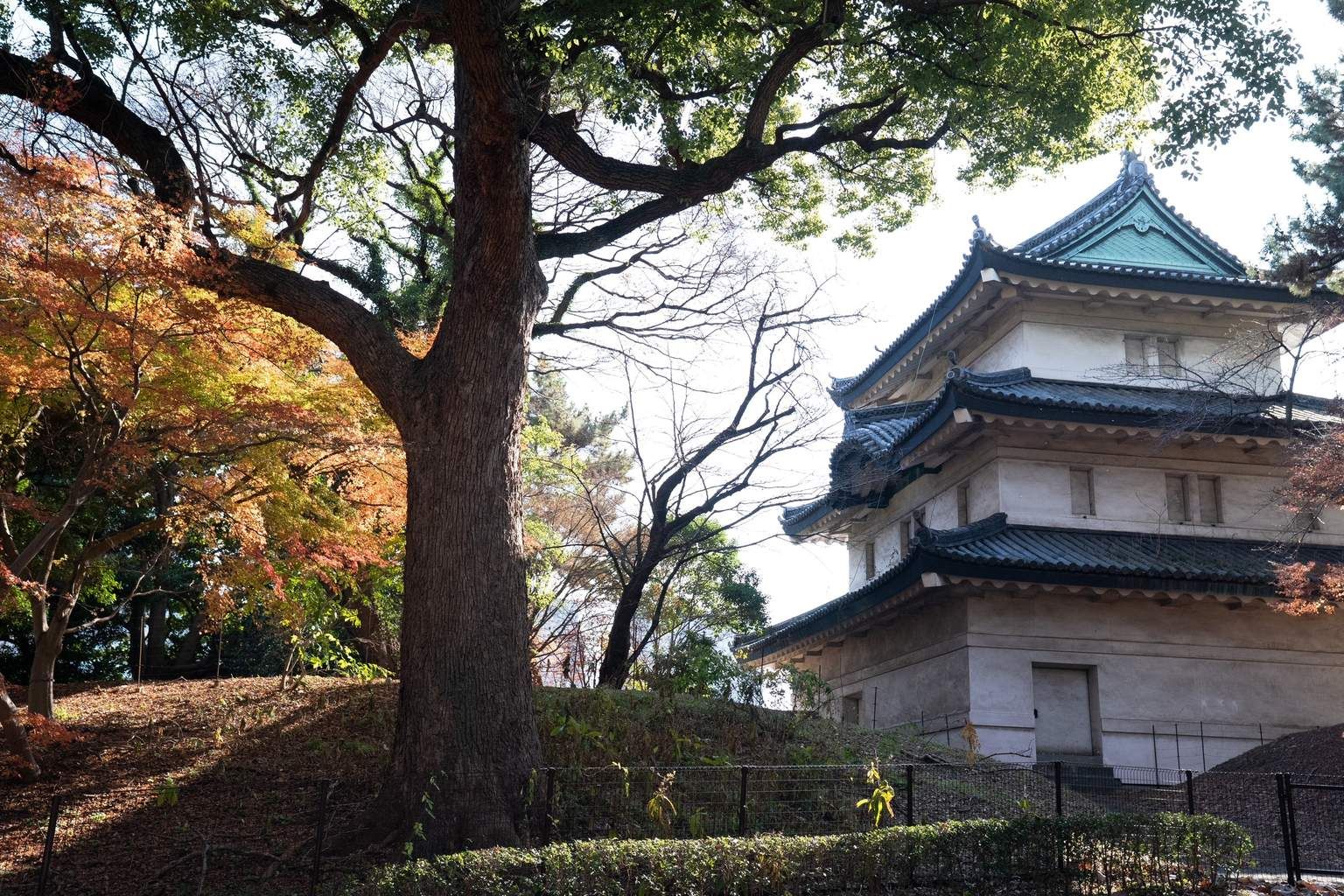 Mon Circuit Liberté à la Découverte du Japon Authentique pas cher photo 5