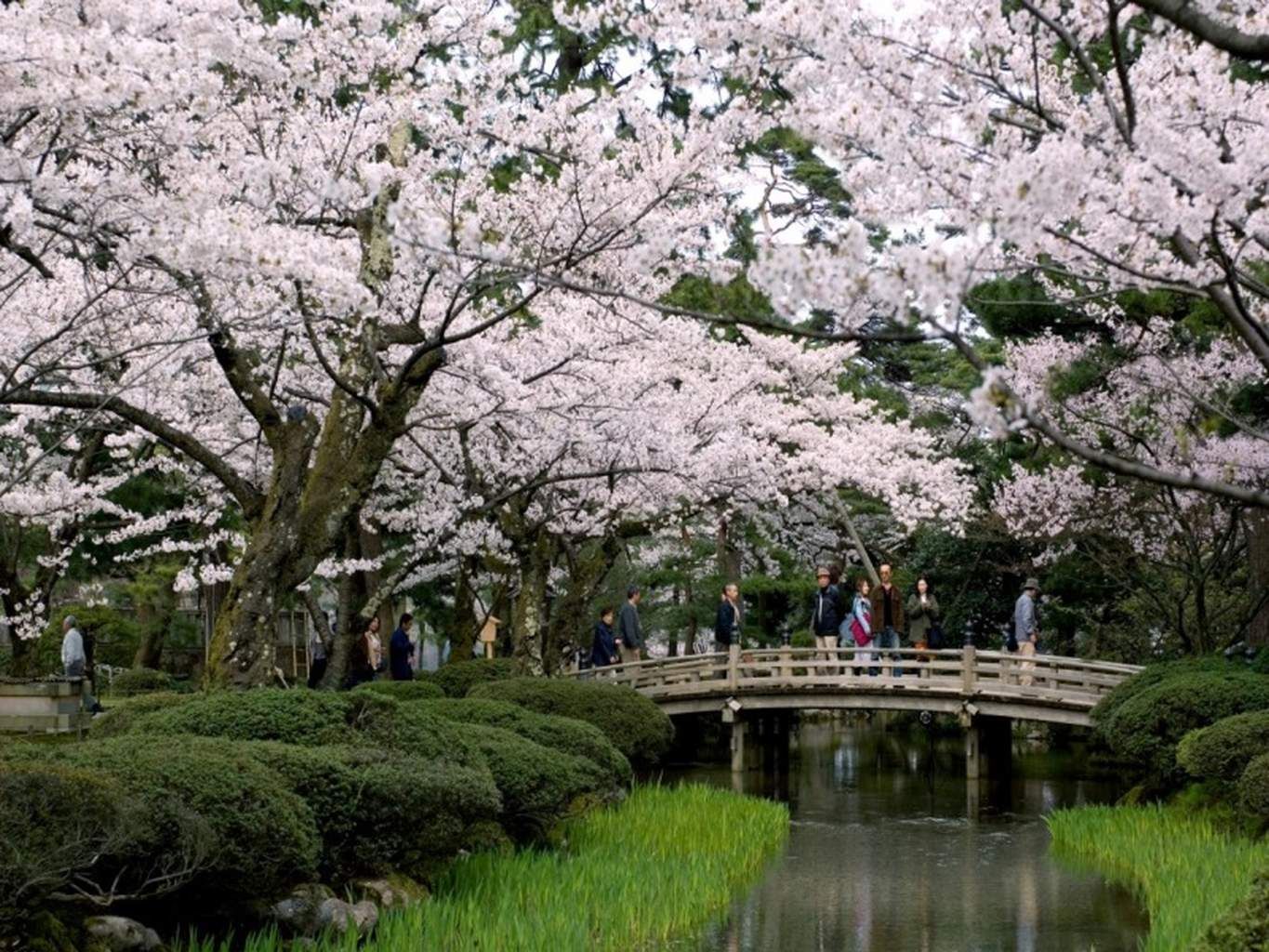 Mon Circuit Liberté à la Découverte du Japon Authentique pas cher photo 11