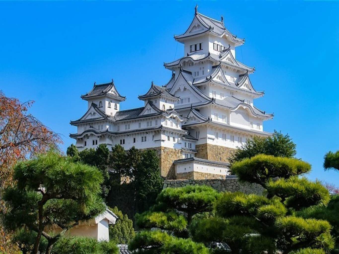 Mon Circuit Liberté Les Incontournables du Japon pas cher photo 6