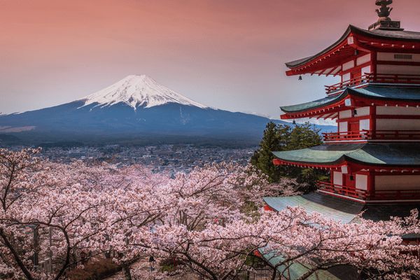 Circuit Grand Tour du Japon - Vols Flex pas cher photo 36