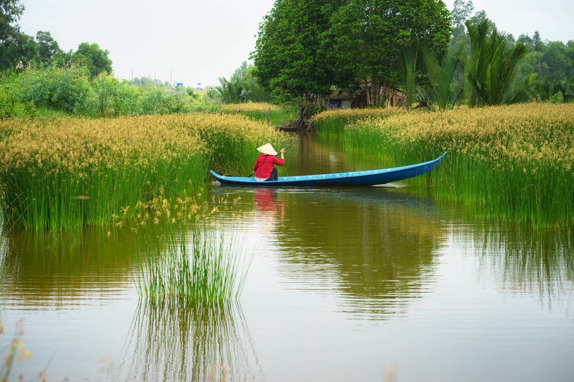 Grand Tour d'Indochine : Laos, Cambodge, Vietnam + ext. Balnéaire 3 nuits à Ho Tram 24J/21N pas cher photo 2