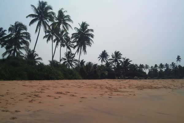 Circuit De Sigiriya aux sables de l'Ouest - Vols Flex pas cher photo 1