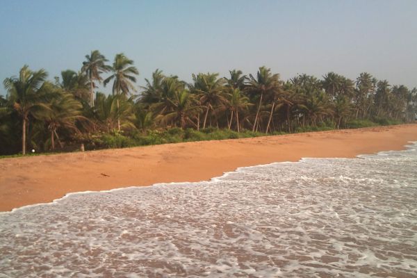 Circuit De Sigiriya aux sables de l'Ouest - Vols Flex pas cher photo 12