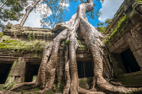 Circuit Charmes de Thaïlande aux Temples d'Angkor 4* - Vols Flex pas cher photo 26