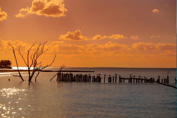 Circuit Les Mystères du Monde Maya et d'Holbox pas cher photo 44