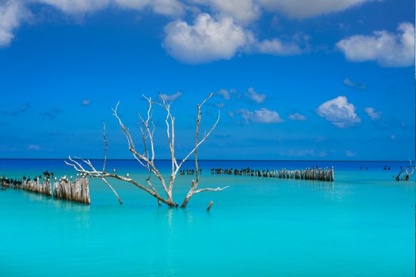 Circuit Les Mystères du Monde Maya et d'Holbox pas cher photo 45