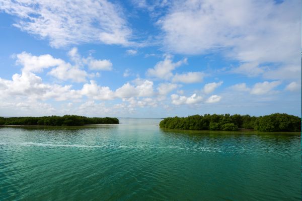 Circuit Les Mystères du Monde Maya et d'Holbox pas cher photo 50