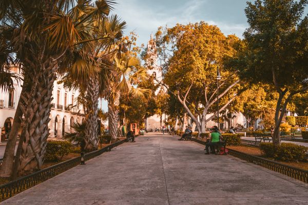 Circuit Des Légendes Aztèques à l'île d'Holbox pas cher photo 51