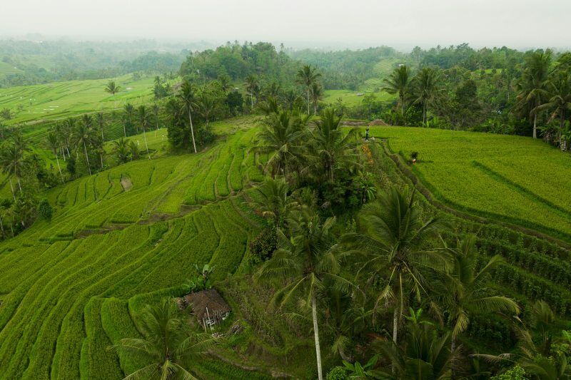 Circuit Bali, L'Ecrin Sauvage Et Séjour Au Movenpick Resort & Spa Jimbaran Bali 5* pas cher photo 7