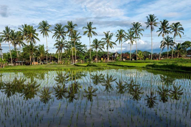 Circuit Bali, Terre de Sérénité Et Séjour Au Grand Mirage Resort & Thalasso Bali 5* pas cher photo 10