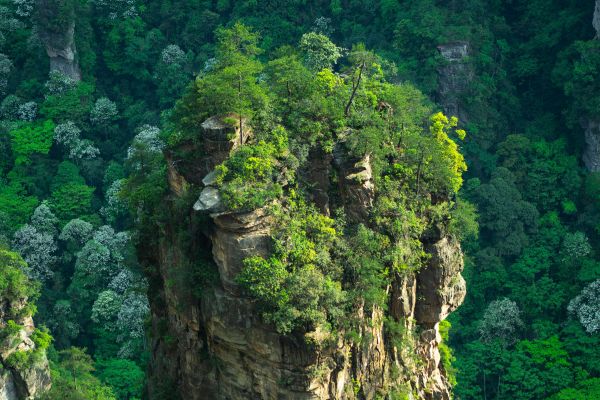 Circuit Sommets de la Chine Impériale, de Pékin aux Montagnes d'Avatar - Vols Flex pas cher photo 37