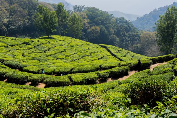 Des Couleurs de l'Inde du Sud aux légendes de Karnataka - Vols Flex pas cher photo 13