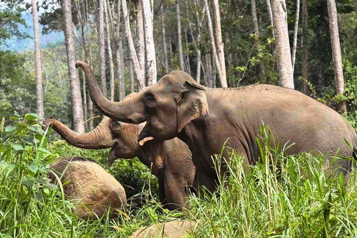 Les Incontounables de la Thailande + Extension à Khaolak Laguna Resort 4*nl pas cher photo 6